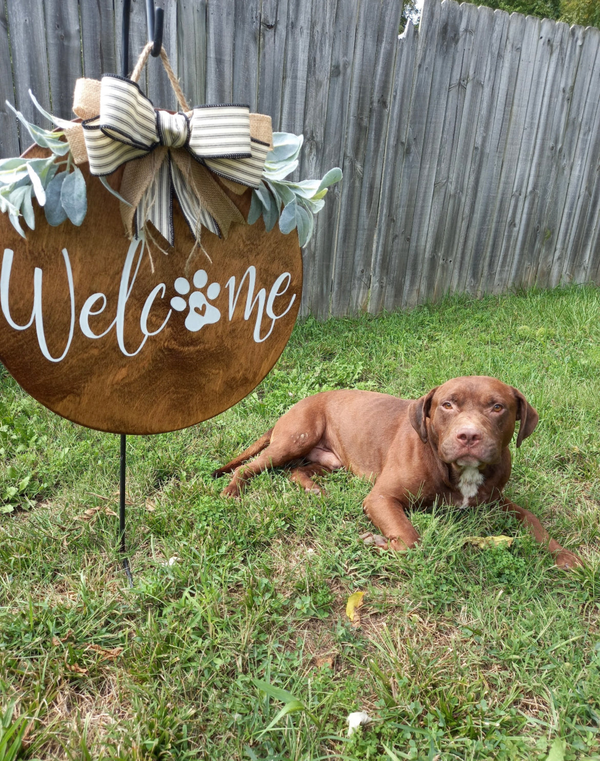 Paw print welcome Front Door Decor | Welcome Paw Print | Year Round Wreath | Dog | Dog Door Hanger | Door Wreath | Funny Dog Sign | Dog Door Sign